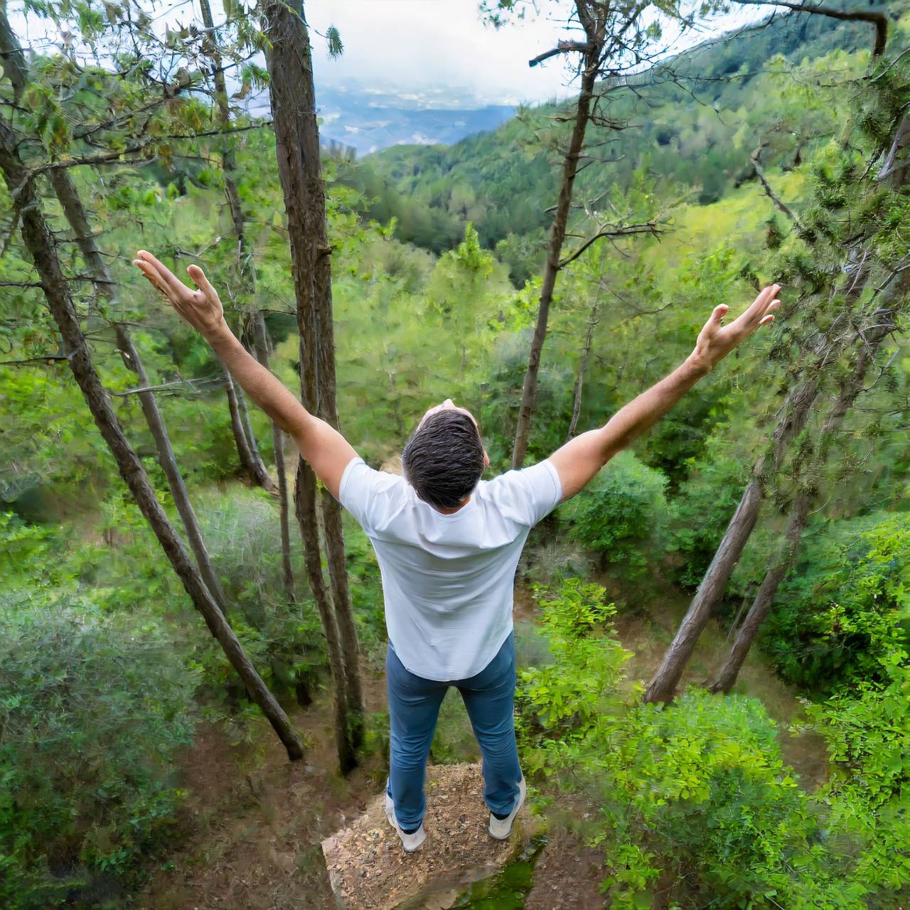 La densità di alberi sulla Terra: quanto ne rimangono?
