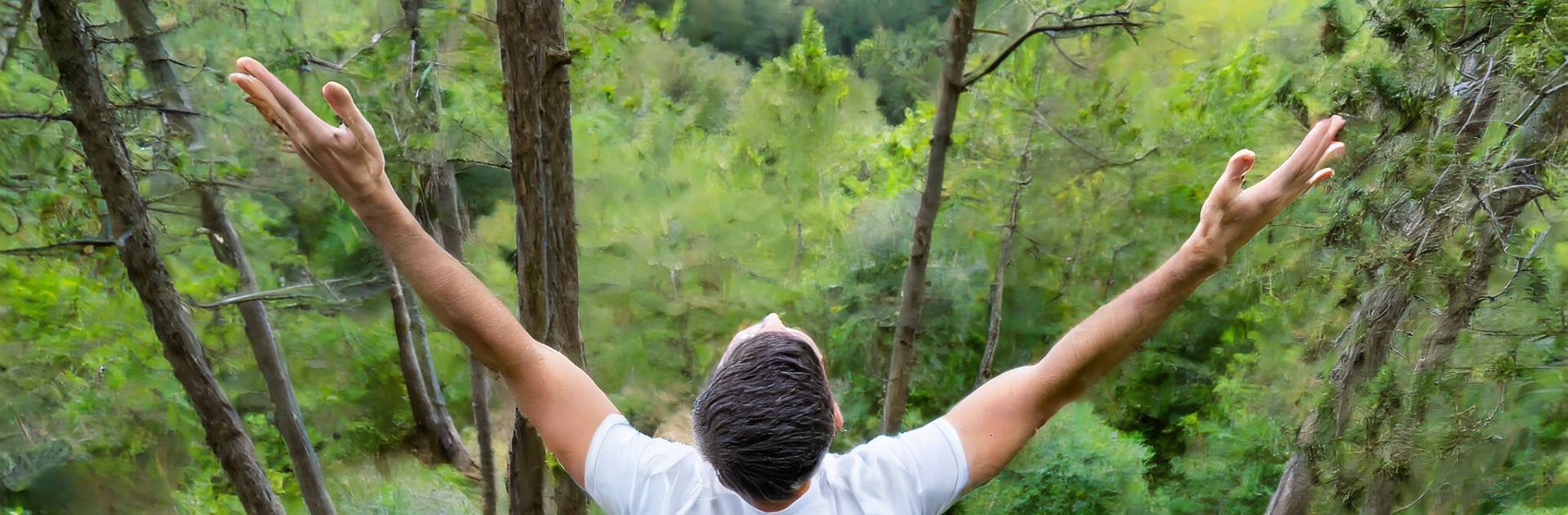 La densità di alberi sulla Terra: quanto ne rimangono?