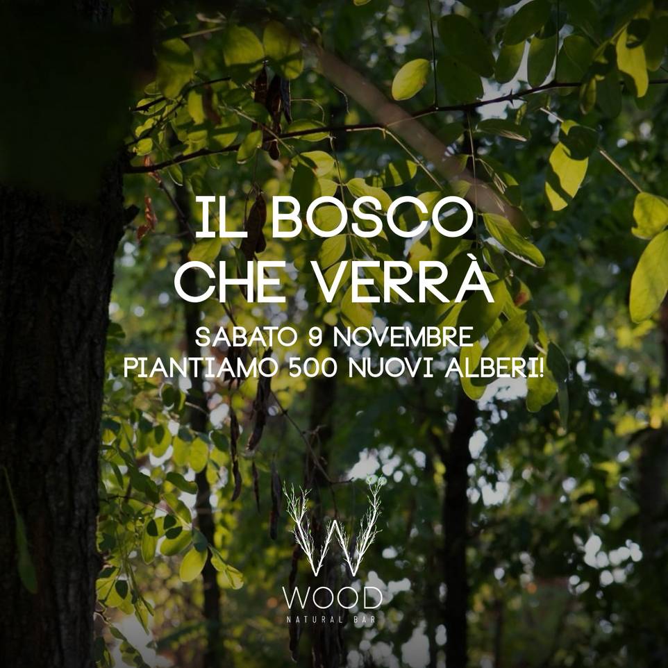 Piantumazione al WoodNatural Bar di Ecodocumenti